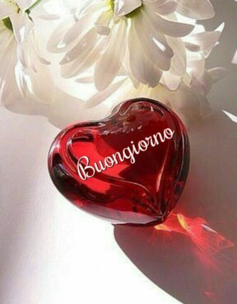 Сердце для любимой