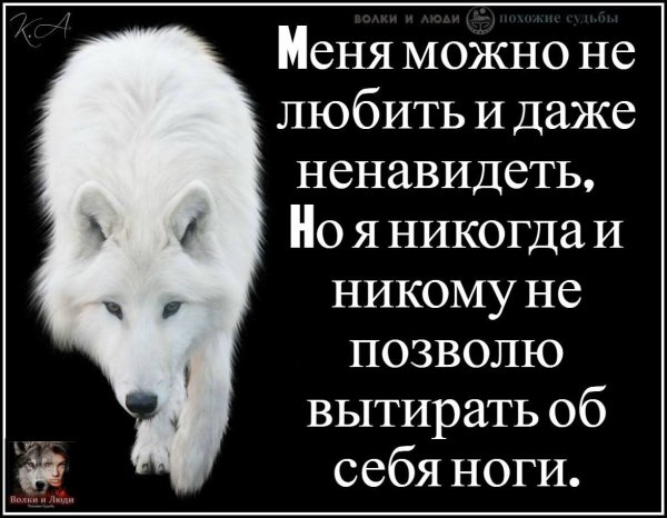 Цитаты про Волков со смыслом