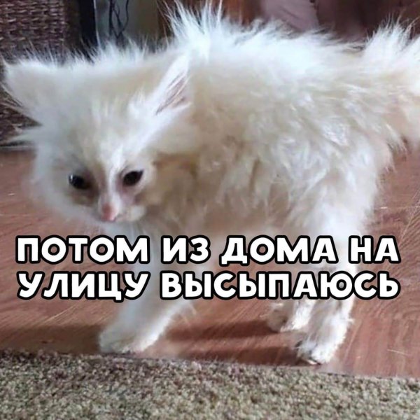 Ты высыпаешься куда высыпаюсь