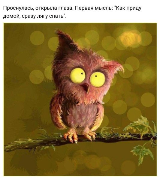 Смешные фразы про среду