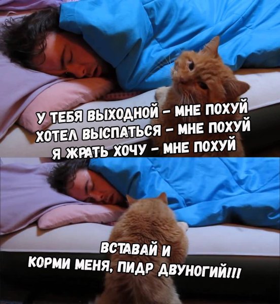 Какая разница кто с кем спит главное чтобы все выспались