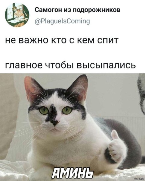 Ленивые всё делают быстро чтобы поскорее отделаться от работы