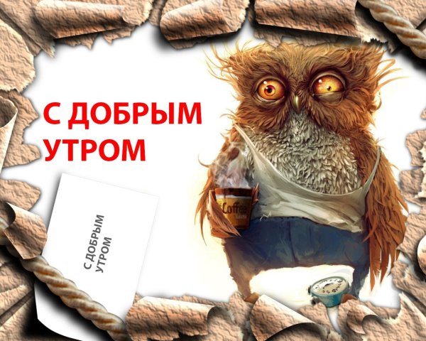 Недосып лучше чем пересып