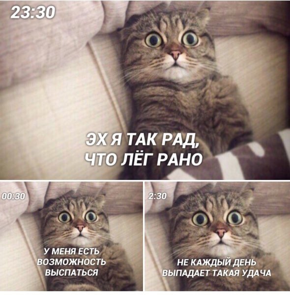 Доброе утро прикол