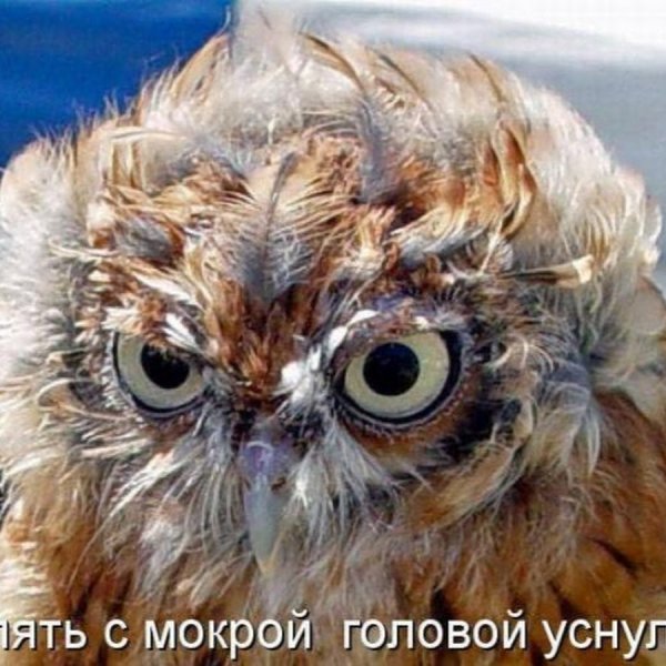 Высказывания про отпуск