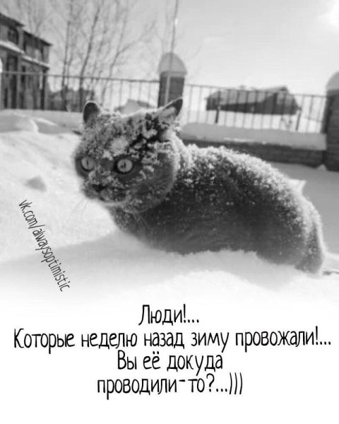 Почти Весна чуть чуть мешает метр снега