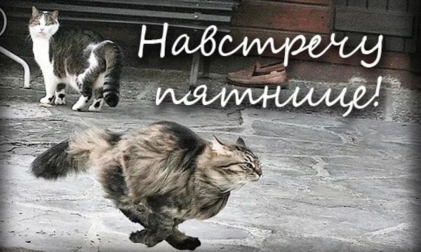 В жизни есть конец всему