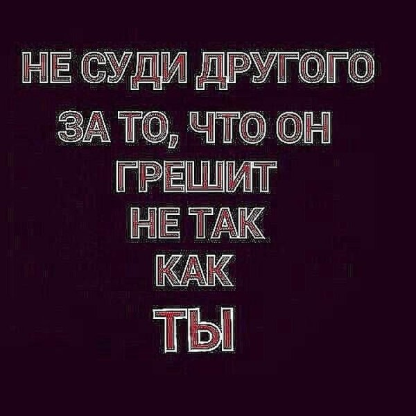 Цитаты про собак смешные