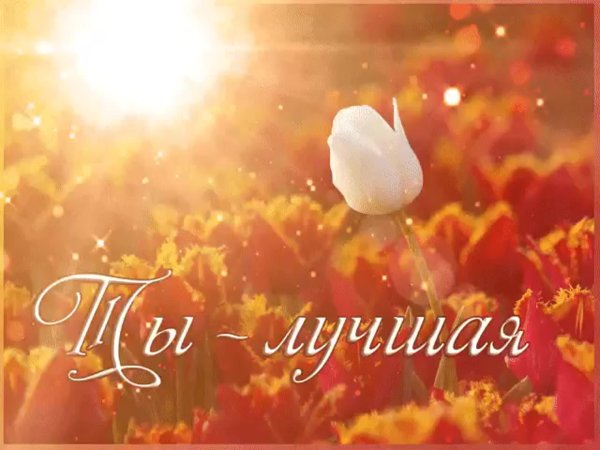 Ты лучшая
