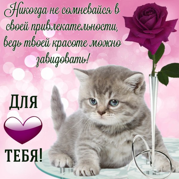 Красивые стихи девушке