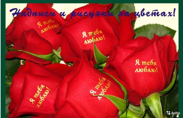 Цветы для любимой с надписями