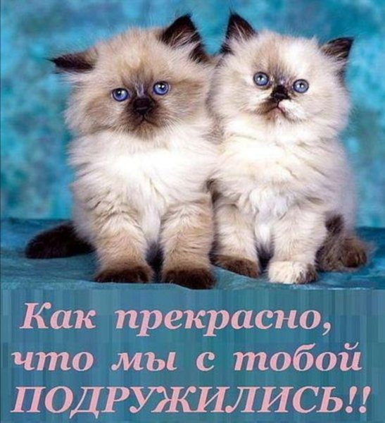 Открытки любимому