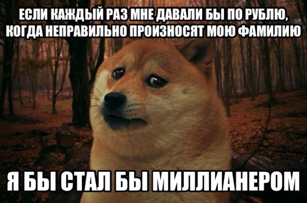 Грустная собака Мем