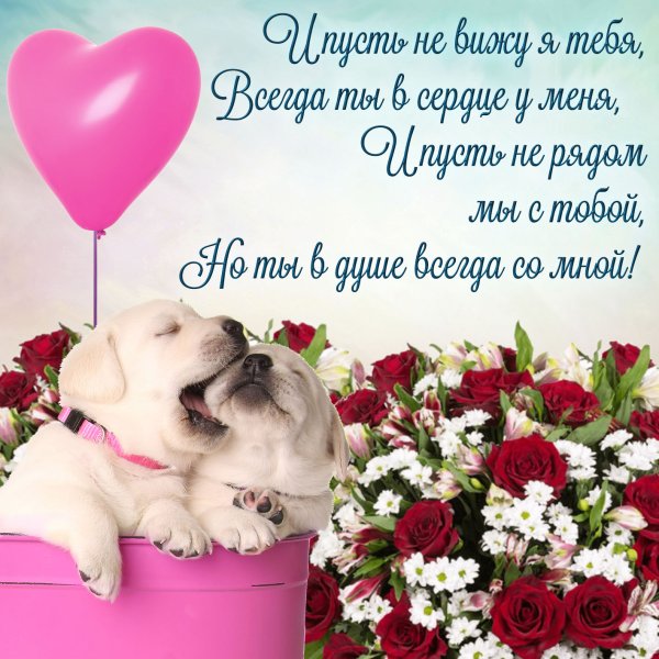 Цветочки для любимой