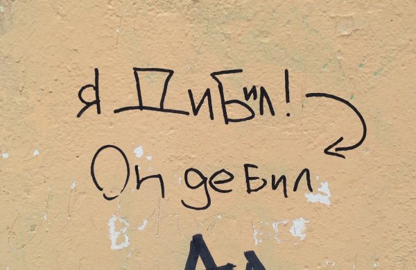 Обои я дебил