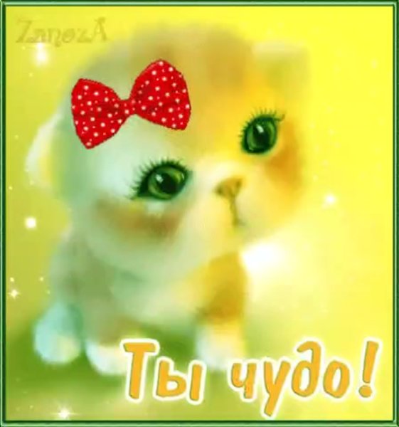 Ты просто чудо