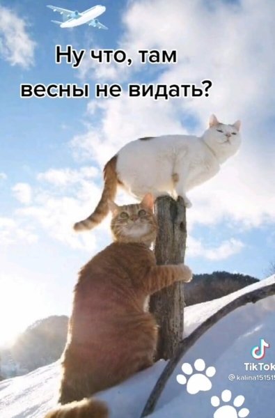 Где Весна