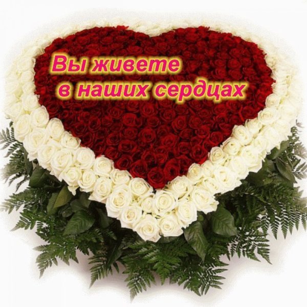 Ты само совершенство