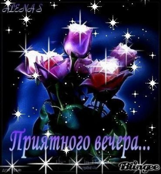 Хорошего вечера цветы