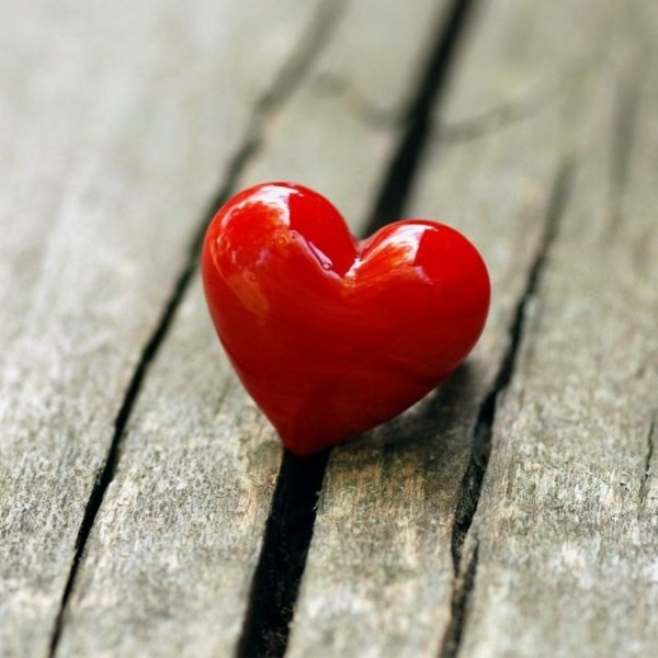 I Love you пара