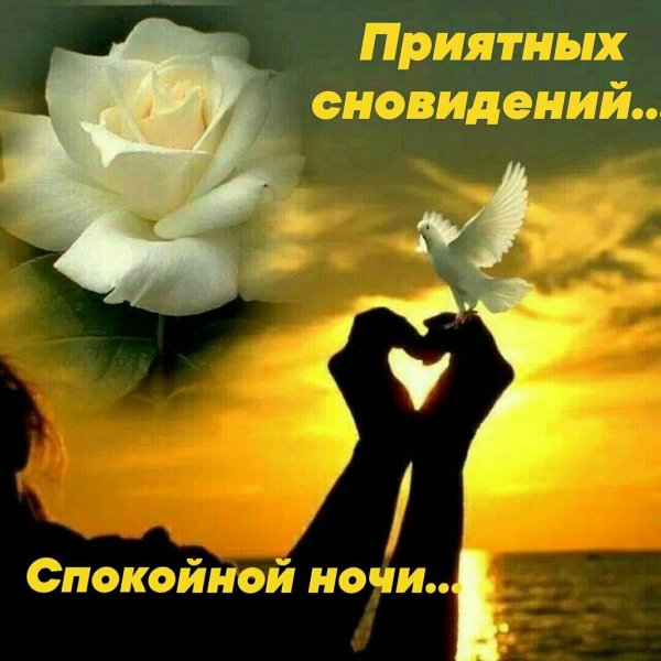 Ты в моём сердце