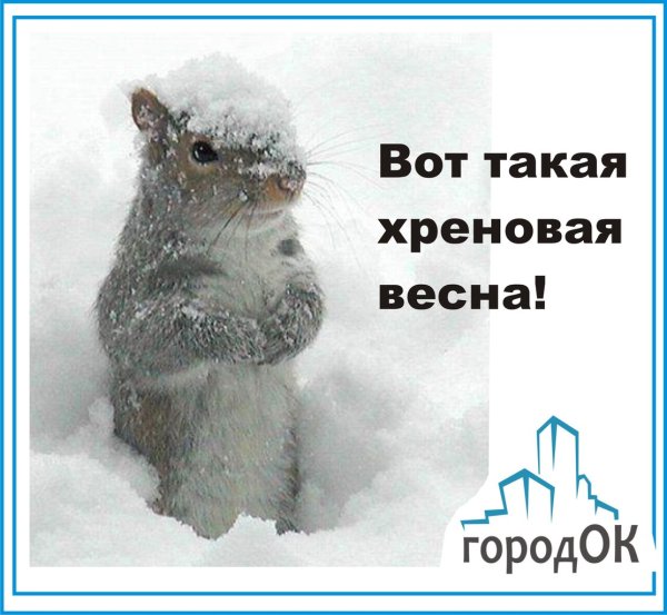 Вот и Весна пришла прикольные