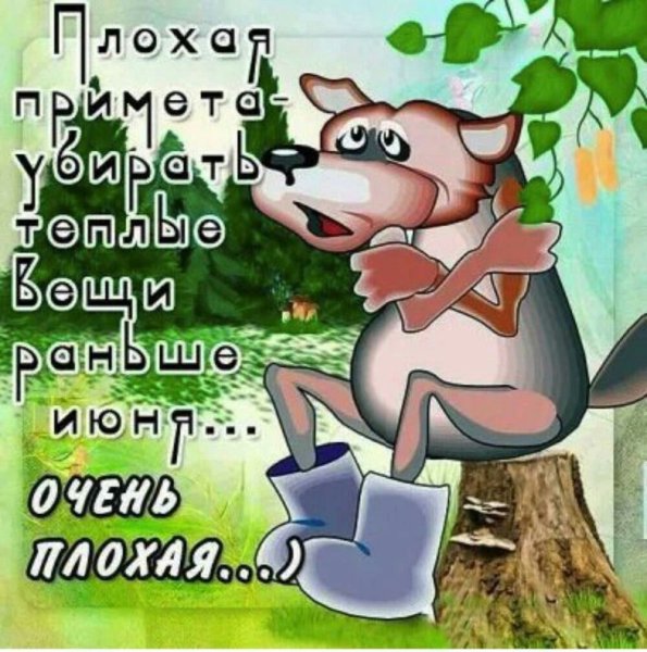 Приколы о холодном лете