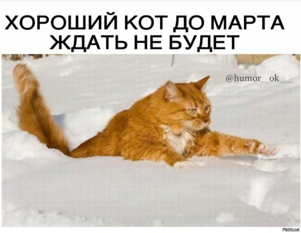 Почти Весна мешает метр снега