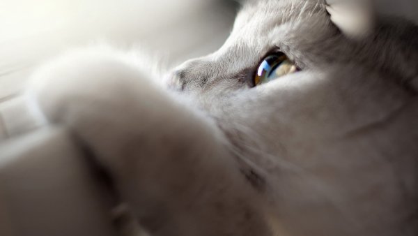 Грустно без тебя