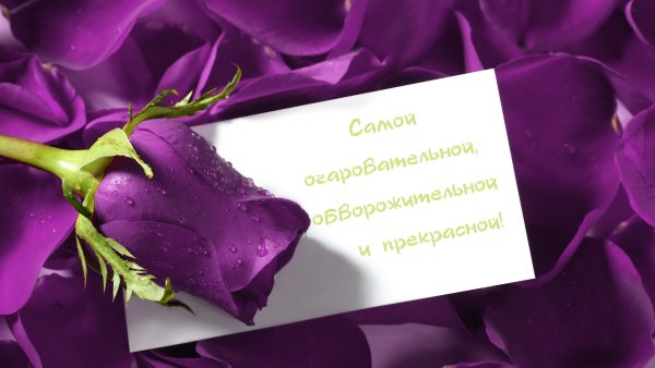 Открытка с сиреневыми цветами