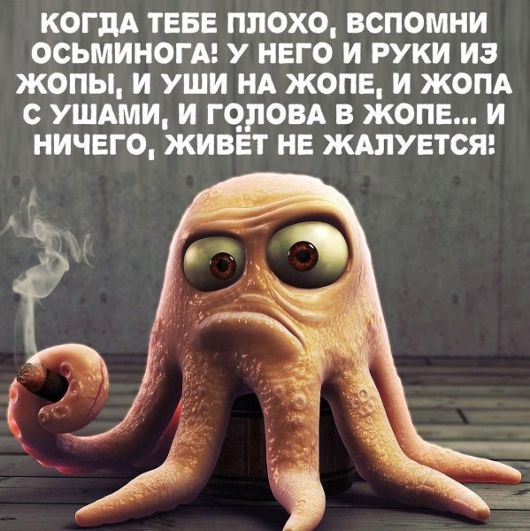Когда тебе плохо вспомни про осьминога