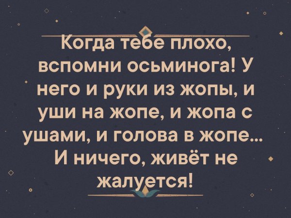 Когда тебе плохо вспомни про осьминога