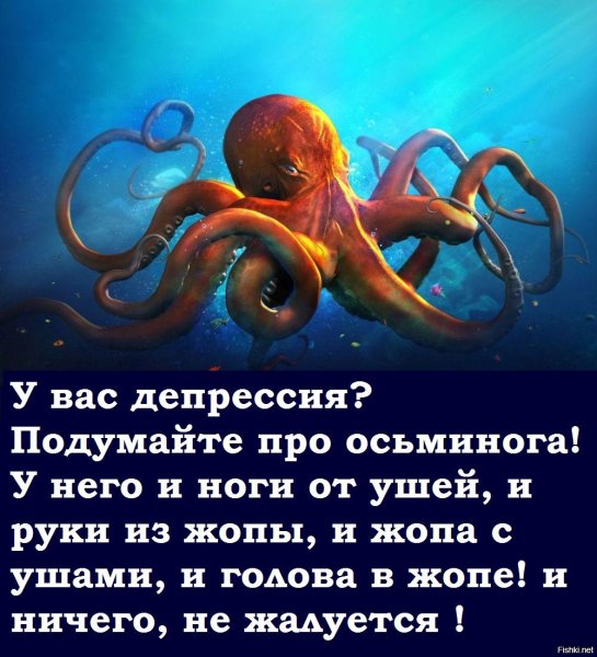 Шутка про осьминога