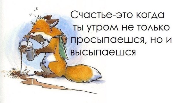 Утренние шутки для настроения