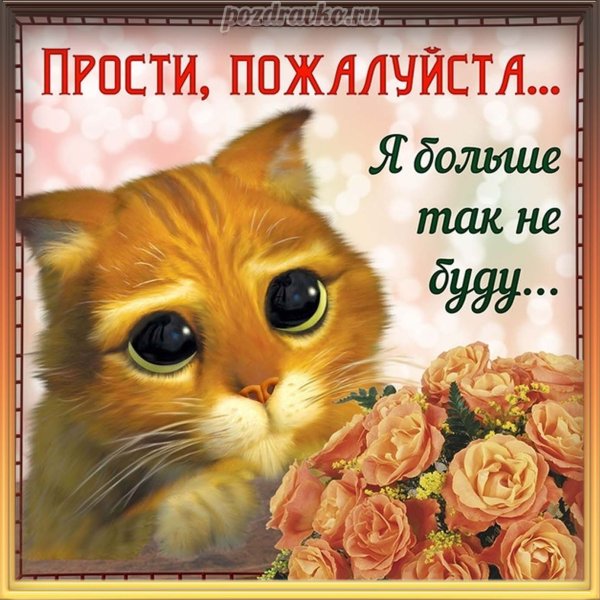Прости меня пожалуйста