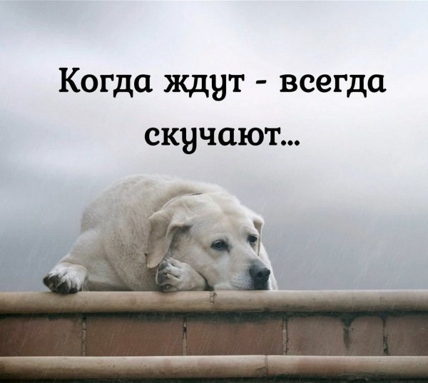 Безумно скучаю