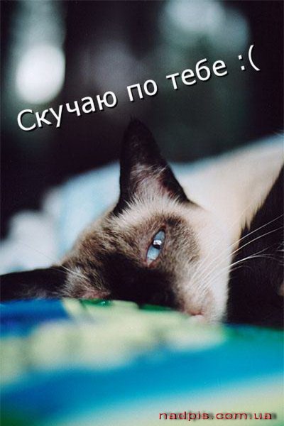 Я очень скучаю по тебе