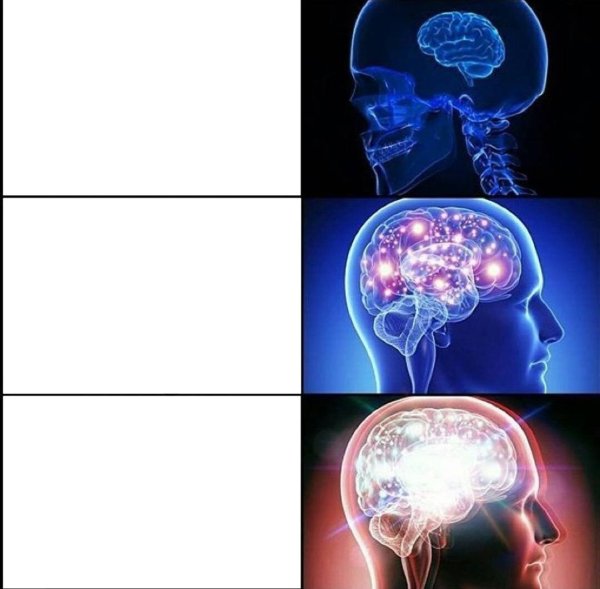Мем с мозгом человека