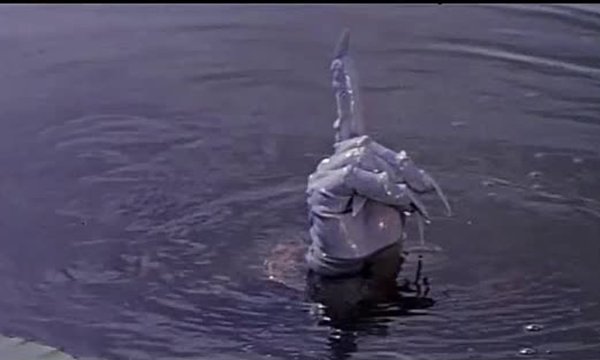 Морозко должок