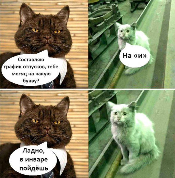 Мемы с надписями ржачные