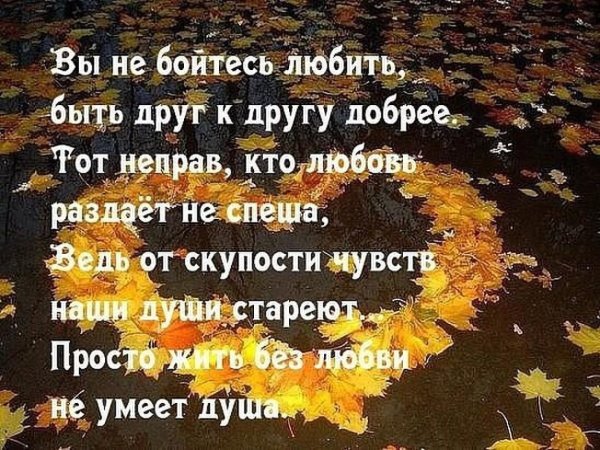 Боимся любить цитаты
