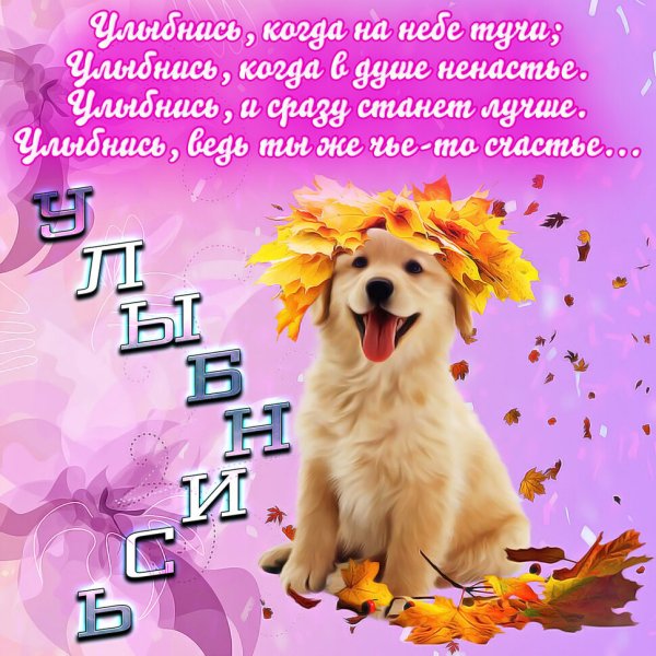 Картинки с пожеланиями