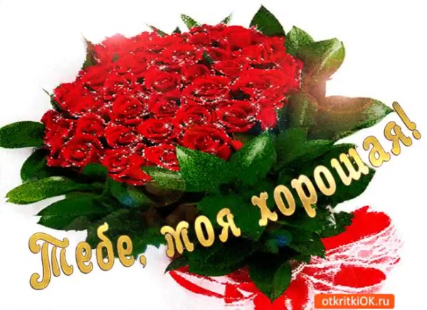 Цветы для любимых и родных