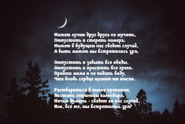 Мы встретимся стихи