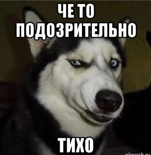 Подозрительно тихо