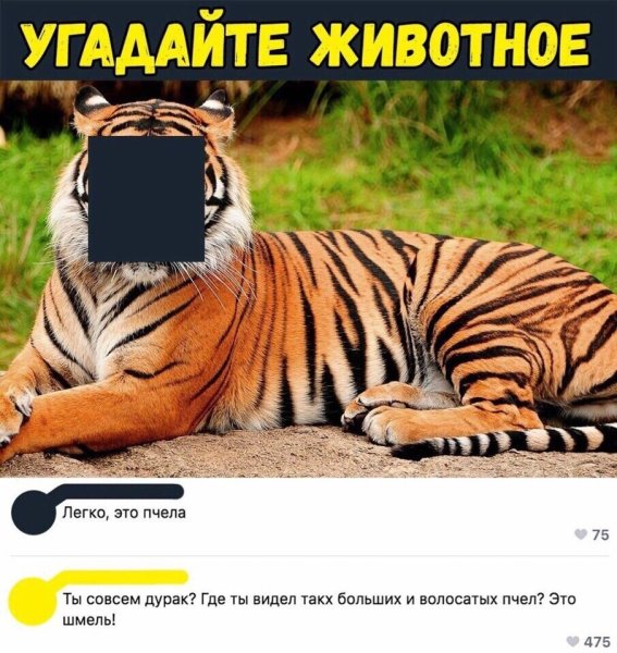Угадай животное
