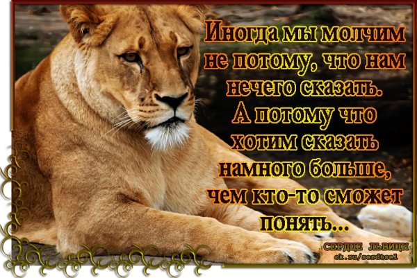 Лев цитаты
