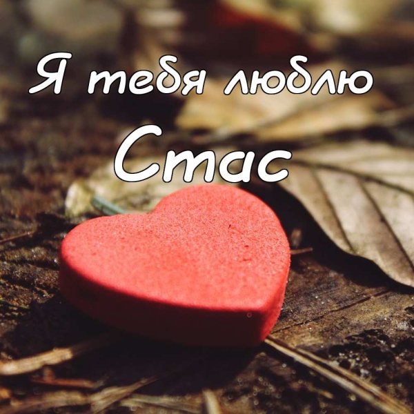 Я люблю тебя солнышко