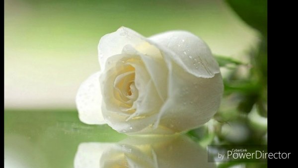 Открытки на христианскую тему