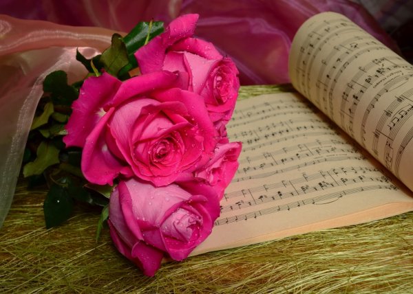 Храни тебя Господь